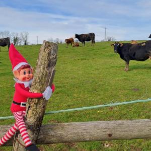 photo du lutin sur une barrière devant un champ