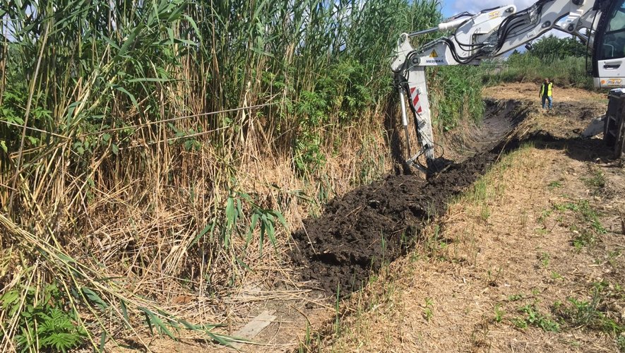 Illustration de l'article : Curage des fossés