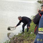 illustration de l'article