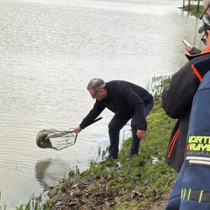 illustration de l'article